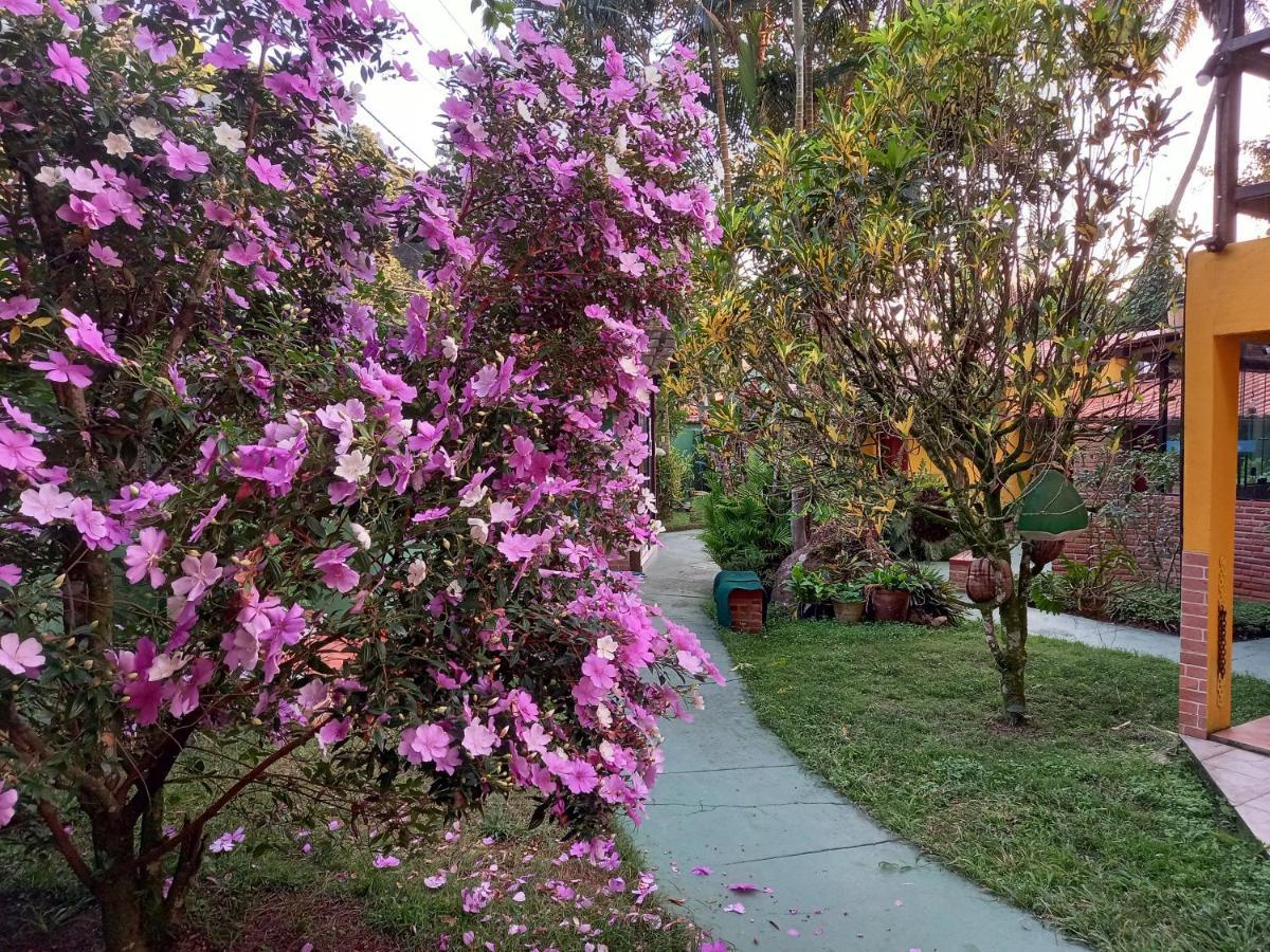 Recanto Das Flores Lofts - Ilha Grande Rj Dış mekan fotoğraf