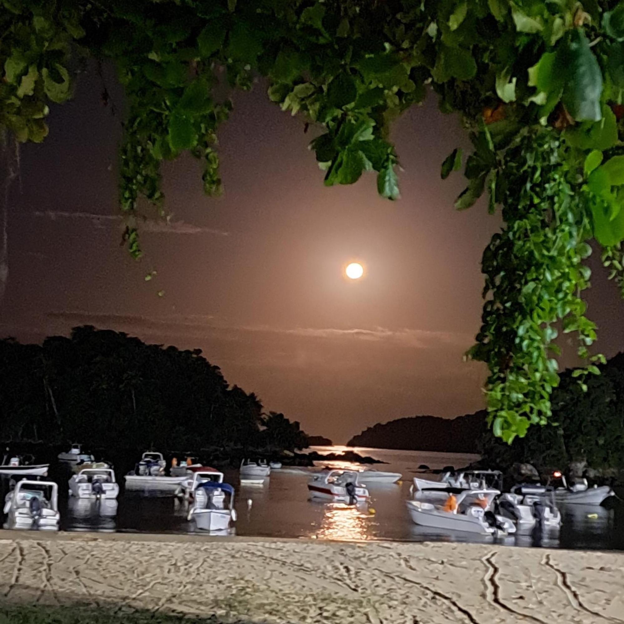 Recanto Das Flores Lofts - Ilha Grande Rj Dış mekan fotoğraf