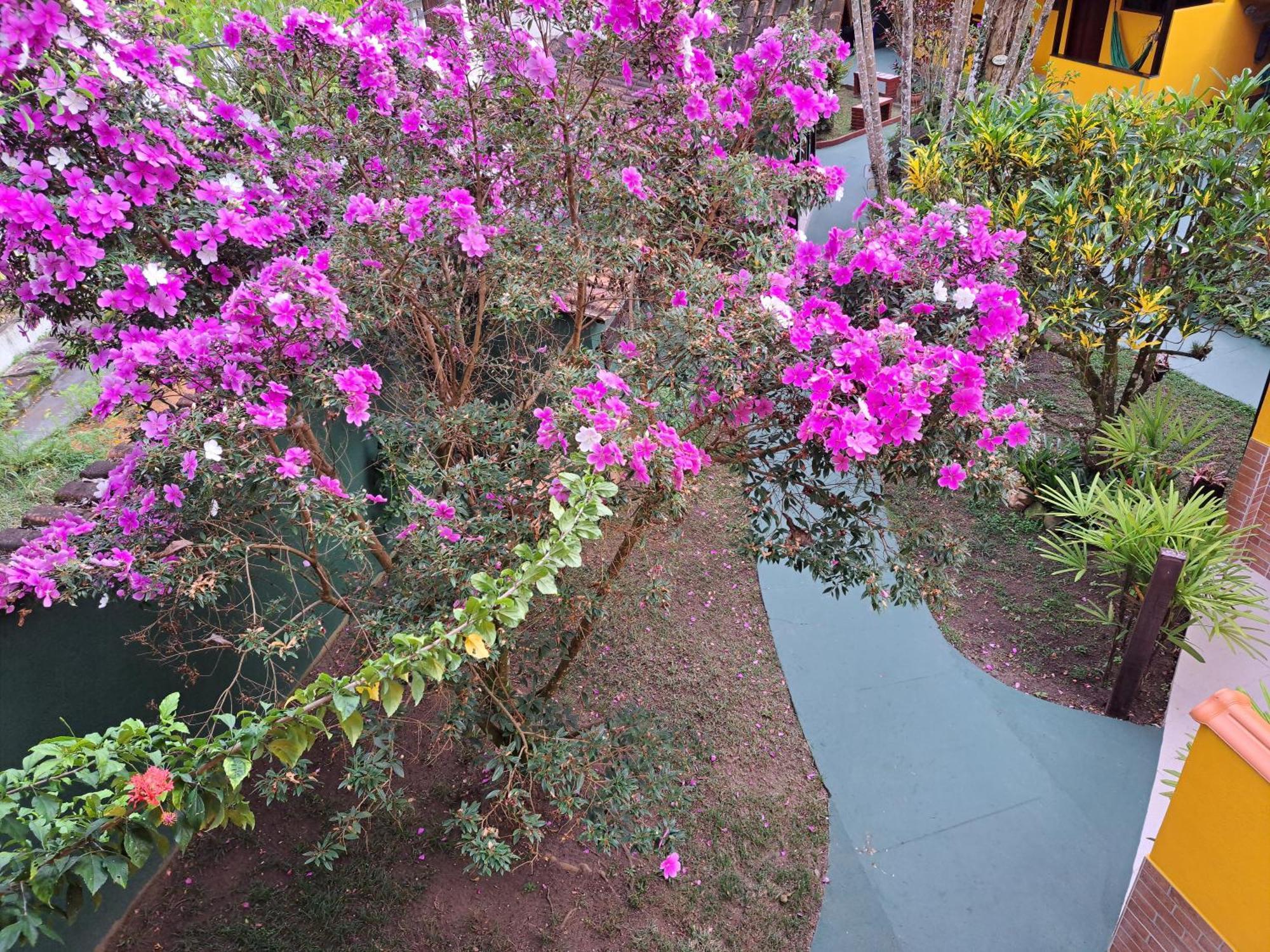 Recanto Das Flores Lofts - Ilha Grande Rj Dış mekan fotoğraf